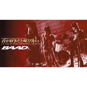 情閪爱视频在线观看
