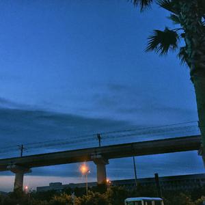 情閪爱视频在线观看
