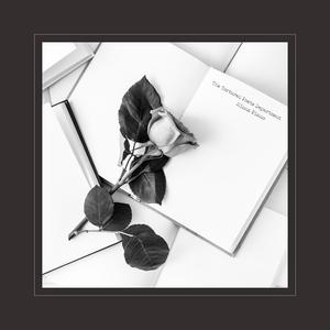 情閪爱视频在线观看
