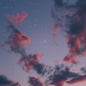 情閪爱视频在线观看
